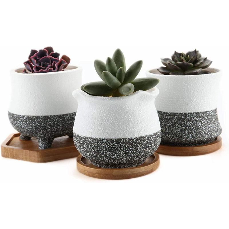 Succulent Plant Pot with Bamboo Tray Set of 3, Currently priced at £17.99